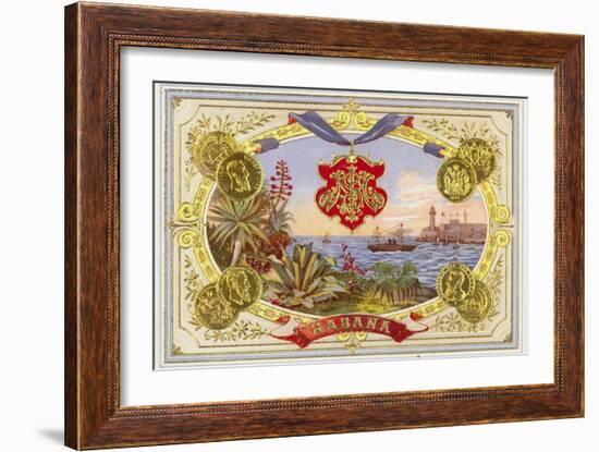 Cuban Cigar Box Label-null-Framed Giclee Print