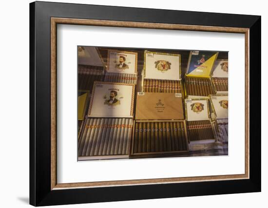 Cuban cigars on display, Havana, Cuba-Panoramic Images-Framed Photographic Print