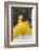 Cuban Dancer in Motion, Callejon De Hamel, Cuba-Adam Jones-Framed Photographic Print