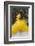 Cuban Dancer in Motion, Callejon De Hamel, Cuba-Adam Jones-Framed Photographic Print