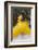 Cuban Dancer in Motion, Callejon De Hamel, Cuba-Adam Jones-Framed Photographic Print