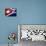 Cuban Flag Painted on Wall, Varadero, Matanzas, Cuba-Martin Lladã³-Photographic Print displayed on a wall