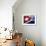 Cuban Flag Painted on Wall, Varadero, Matanzas, Cuba-Martin Lladã³-Framed Photographic Print displayed on a wall