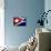 Cuban Flag Painted on Wall, Varadero, Matanzas, Cuba-Martin Lladã³-Mounted Photographic Print displayed on a wall