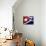 Cuban Flag Painted on Wall, Varadero, Matanzas, Cuba-Martin Lladã³-Mounted Photographic Print displayed on a wall