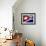 Cuban Flag Painted on Wall, Varadero, Matanzas, Cuba-Martin Lladã³-Framed Photographic Print displayed on a wall