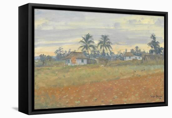 Cuban Landscape, 2010-Julian Barrow-Framed Premier Image Canvas