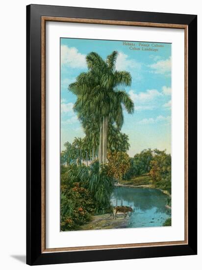 Cuban Landscape, Ox at Stream-null-Framed Art Print