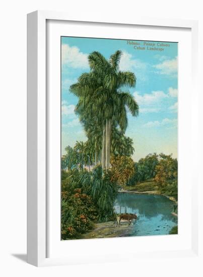 Cuban Landscape, Ox at Stream-null-Framed Art Print
