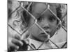 Cuban Refugees Allowed by Castro to Leave on Arrival in Us-John Loengard-Mounted Photographic Print