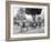 Cuban Volanta or Large Wheeled Carriage Transports Tourists-null-Framed Photo