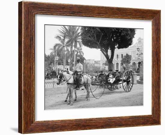 Cuban Volanta or Large Wheeled Carriage Transports Tourists-null-Framed Photo