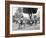 Cuban Volanta or Large Wheeled Carriage Transports Tourists-null-Framed Photo