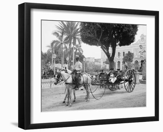 Cuban Volanta or Large Wheeled Carriage Transports Tourists-null-Framed Photo