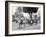 Cuban Volanta or Large Wheeled Carriage Transports Tourists-null-Framed Photo