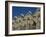 Cubic House (Kubuswoningen), Designed by Piet Blom, Rotterdam, Netherlands, Europe-Ethel Davies-Framed Photographic Print