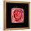 Cubic Pink Rose-Winfred Evers-Framed Premier Image Canvas