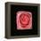 Cubic Pink Rose-Winfred Evers-Framed Premier Image Canvas