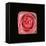 Cubic Pink Rose-Winfred Evers-Framed Premier Image Canvas