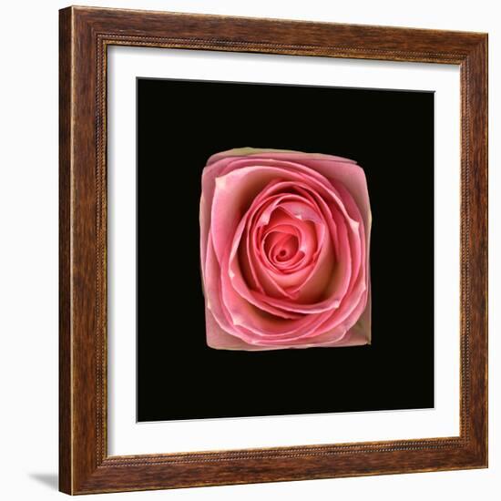 Cubic Pink Rose-Winfred Evers-Framed Photographic Print