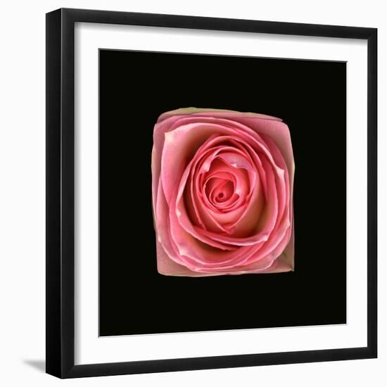 Cubic Pink Rose-Winfred Evers-Framed Photographic Print