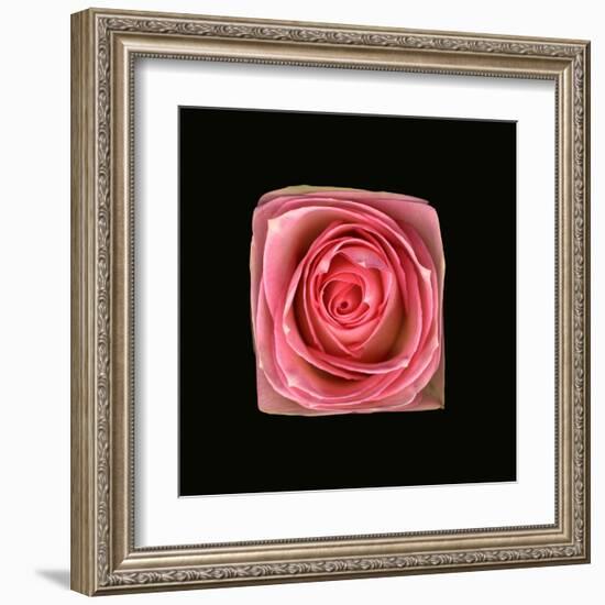 Cubic Pink Rose-Winfred Evers-Framed Premium Photographic Print