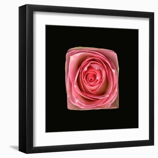 Cubic Pink Rose-Winfred Evers-Framed Premium Photographic Print