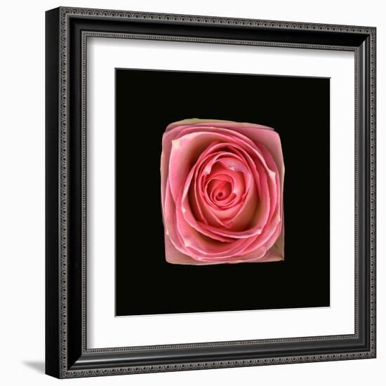 Cubic Pink Rose-Winfred Evers-Framed Premium Photographic Print