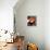 Cubist Espresso II-Eli Adams-Art Print displayed on a wall