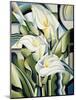 Cubist Lilies, 2002-Catherine Abel-Mounted Giclee Print