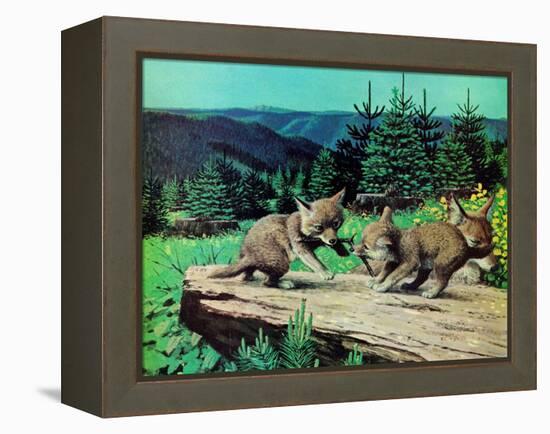 Cubs at Play-Stan Galli-Framed Premier Image Canvas