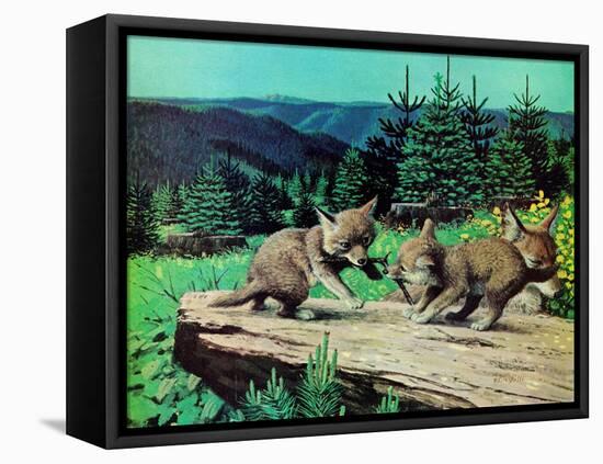 Cubs at Play-Stan Galli-Framed Premier Image Canvas