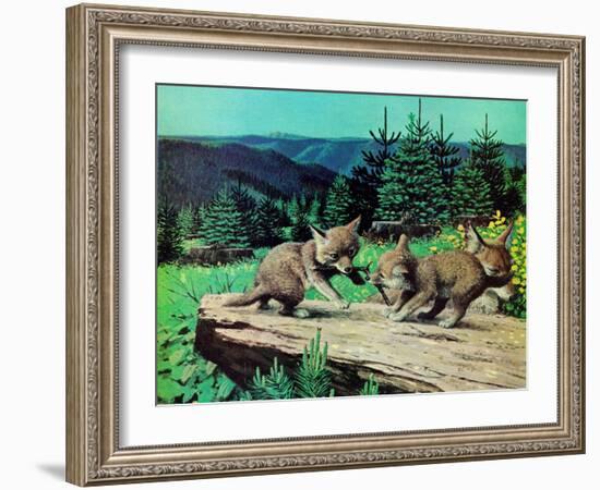 Cubs at Play-Stan Galli-Framed Giclee Print