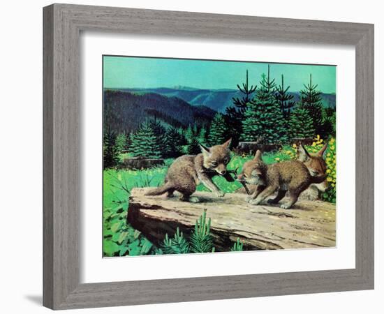 Cubs at Play-Stan Galli-Framed Giclee Print