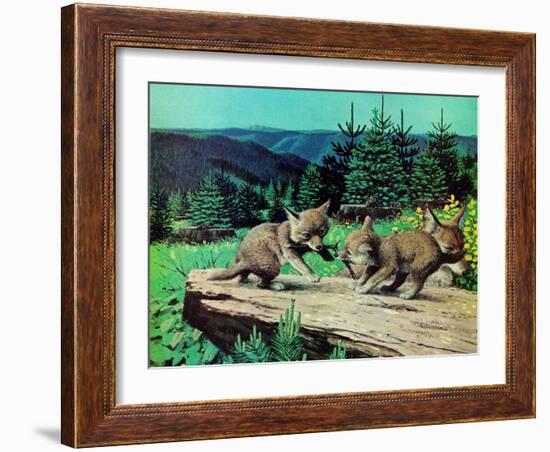 Cubs at Play-Stan Galli-Framed Giclee Print