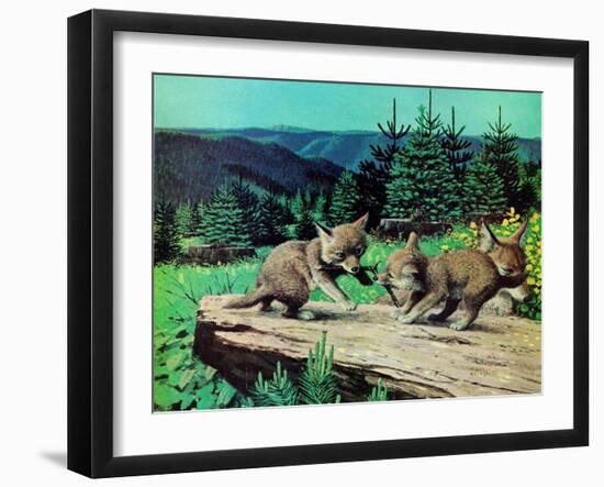 Cubs at Play-Stan Galli-Framed Giclee Print