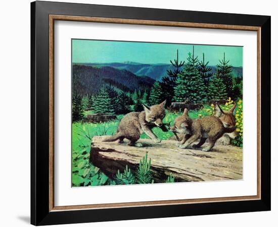 Cubs at Play-Stan Galli-Framed Giclee Print