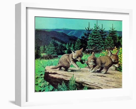 Cubs at Play-Stan Galli-Framed Giclee Print