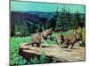 Cubs at Play-Stan Galli-Mounted Giclee Print