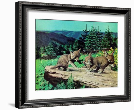 Cubs at Play-Stan Galli-Framed Giclee Print