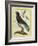 Cuckoo Roller-Georges-Louis Buffon-Framed Giclee Print