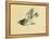Cuckoo-Bairei Kono-Framed Premier Image Canvas