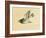 Cuckoo-Bairei Kono-Framed Giclee Print