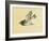 Cuckoo-Bairei Kono-Framed Giclee Print