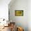 Cucumber Beetle on sunflower-Michael Scheufler-Framed Premier Image Canvas displayed on a wall