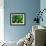 Cucumber, Chongqing, China-Keren Su-Framed Photographic Print displayed on a wall