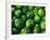 Cucumber, Chongqing, China-Keren Su-Framed Photographic Print