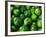 Cucumber, Chongqing, China-Keren Su-Framed Photographic Print