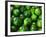 Cucumber, Chongqing, China-Keren Su-Framed Photographic Print