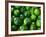 Cucumber, Chongqing, China-Keren Su-Framed Photographic Print